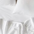 Terra Organic Cotton SNOW Sheet Set by Linen House Online now