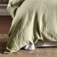 Lila Wasabi Quilt Cover Set by Linen House For Discount