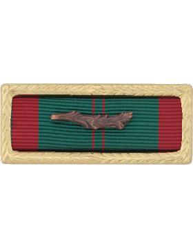 Vietnam Civil Action Ribbon Bar with Frame and palm Online now