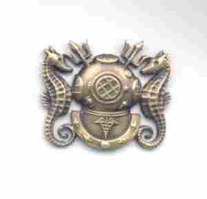 Divisioning Medical Officer USN Badge (Officer) For Sale