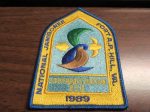 1989 National Jamboree Southeast Region Patch For Cheap