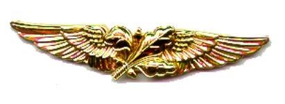 Aviation Supply Officer Navy Badge (Officer) Sale